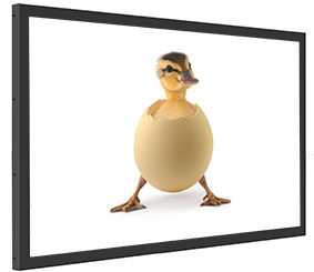 POS-Line 31.5 WebPoster M3 Monitor Frontrahmen