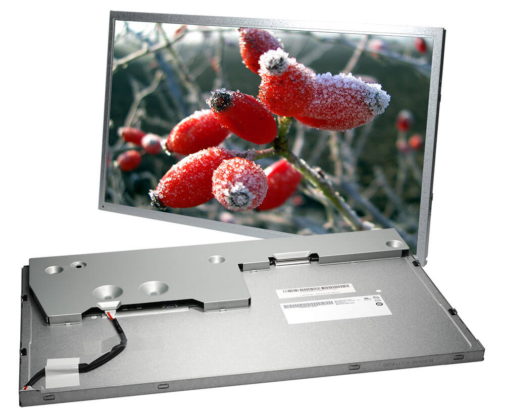 AUO TFT Display G156XW01V1