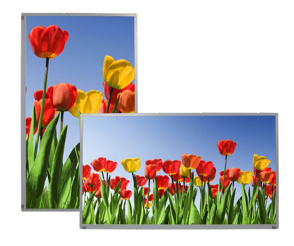 AUO TFT Display P320HVN