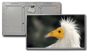 AUO TFT Display P320HVN01.0