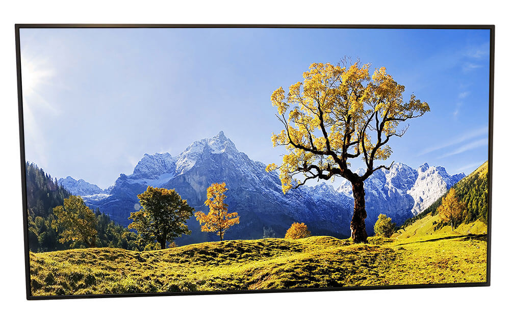 P650QVN06.0 AUO TFT Displays