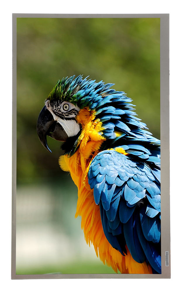 Samsung TFT Display LTI460HN08-0